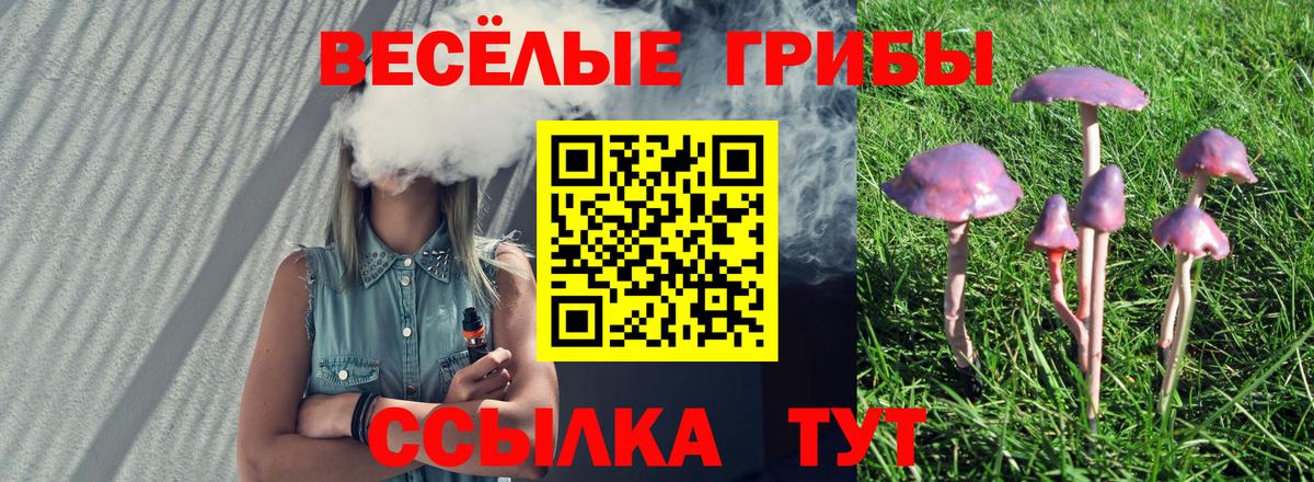 Галлюциногенные грибы мицелий  Вход с VPN  Учалы 