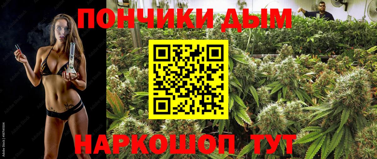 Шишки марихуана семена Учалы